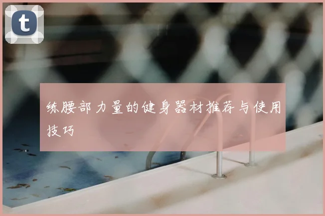 练腰部力量的健身器材推荐与使用技巧