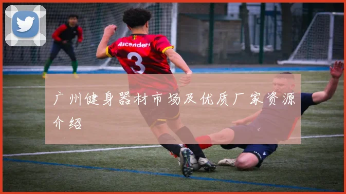 广州健身器材市场及优质厂家资源介绍