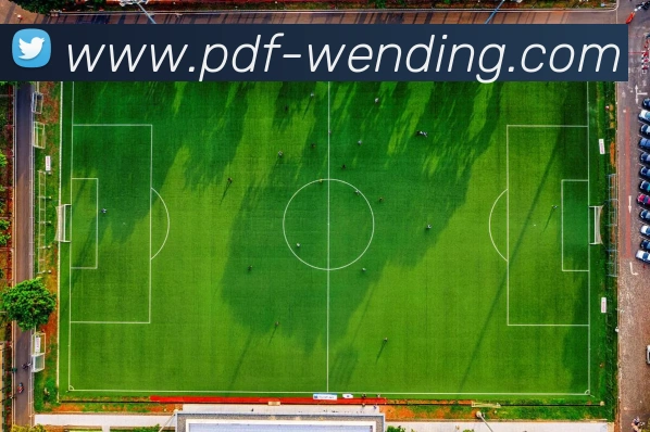 问鼎娱乐appAPP 体育赛事宣传图